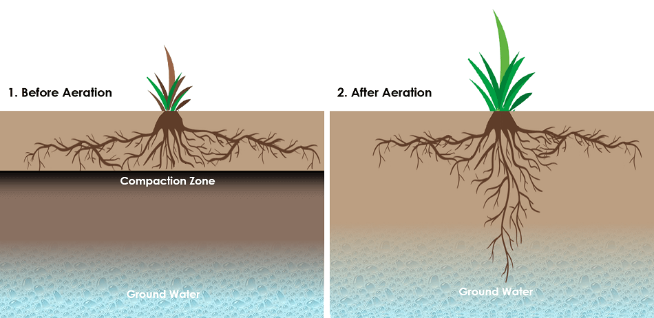 Aerating deals compacted soil